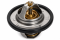 Thermostat MG 3 80°C - 10013853